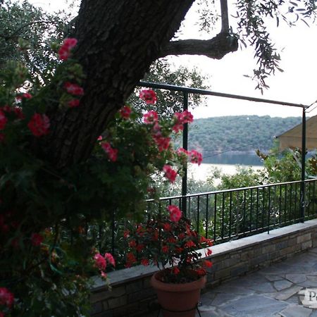 Violetta Studios & Apartments Milina Room photo