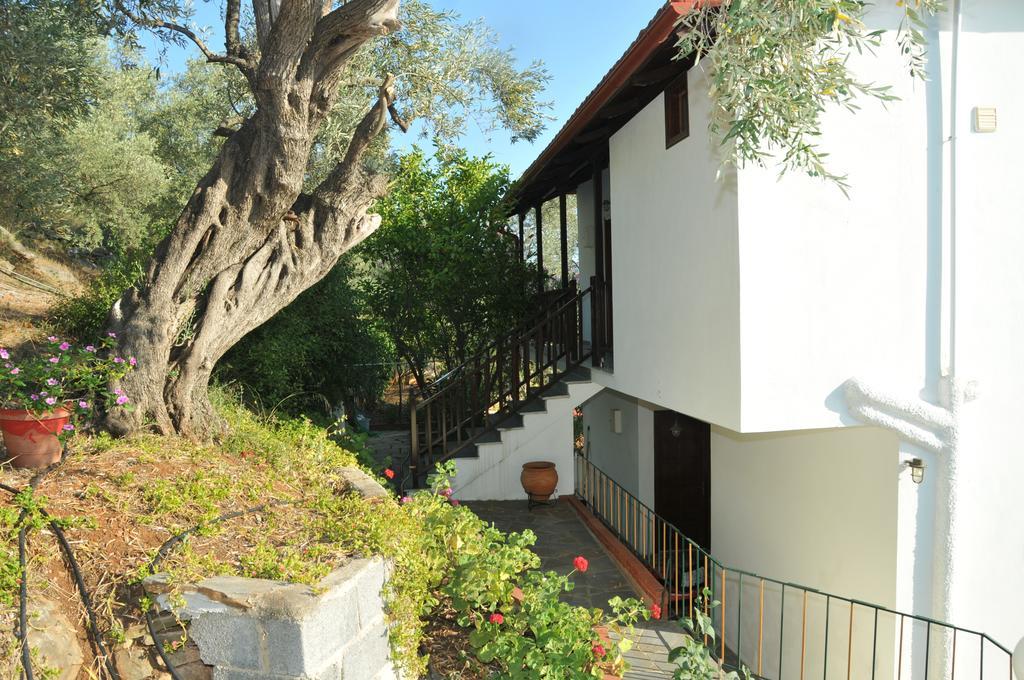 Violetta Studios & Apartments Milina Exterior photo